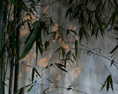 很有意境的八字暖心小短句 一眼沦陷的温柔八字短句