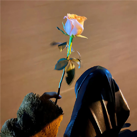 尊嘟很好看超喜欢的朋友圈配图 让自己成为更好和更值得爱的人