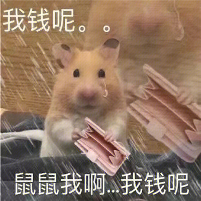 最近搜集的表情火爆全网 聊天不能错过的好用表情