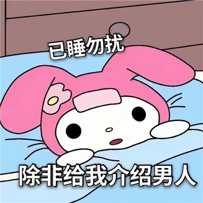 搞笑表情最新版合集 已睡勿扰除非跟我介绍男人