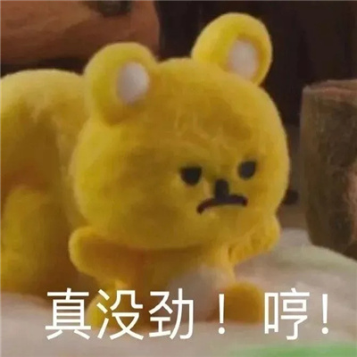 2024版超火热的万能表情 好困不想努力了