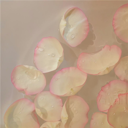 简约冷淡风清醒图片显高级 祝我们都有稳定的爱情和情绪