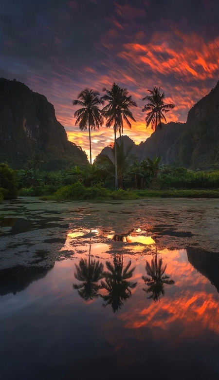 最近收藏的壁纸人气很高 很受欢迎百用不厌的壁纸