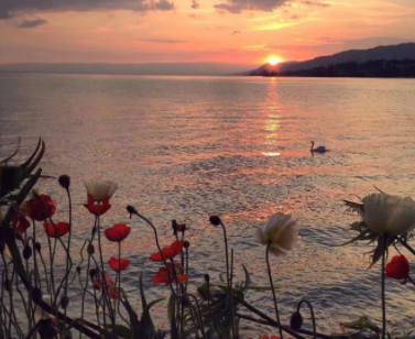 秋去冬来的温柔文案 秋天与冬天交替的文案 秋去冬来的温柔文案 秋天与冬天交替的文案