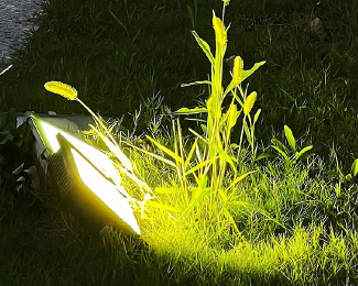 平凡的日子里泛着光的文案 平凡的日子也精彩文案