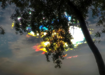 平凡的日子里泛着光的文案 平凡的日子也精彩文案