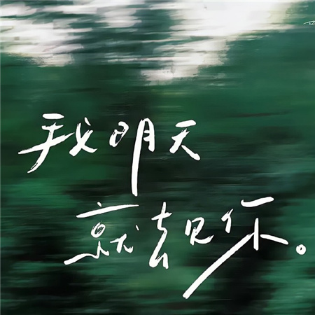 2024版朋友圈背景图无水印高清 按你喜欢的方式活着