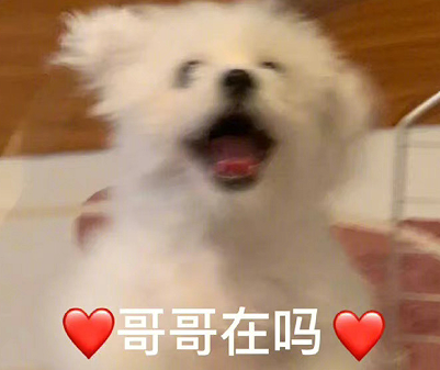 最近很火的我怎么敢恋爱系列文案 很火我不配跟你谈恋爱的搞笑语录