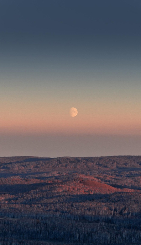 小众简约风的简单壁纸 高清又好看的温柔感皮肤