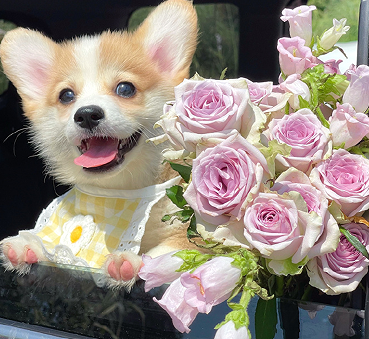 随时都能发的无状态朋友圈文案 高级状态的微信短句