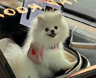 2023哄对象生气时的服软小情话 快速哄好女朋友的文案