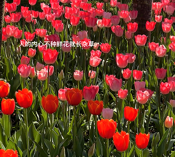 分手最体面的告别说说 最新版的分手告别语录 分手最体面的告别说说 最新版的分手告别语录