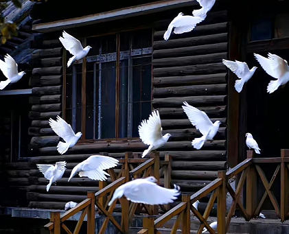 及时止损的清醒句子 要懂得及时止损的说说