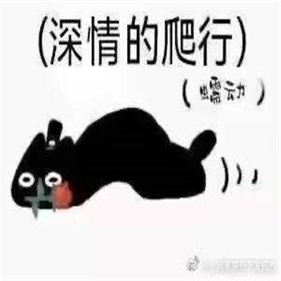 最新克猫猫爬行表情包 每天爬行都不会重样了