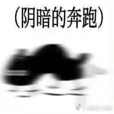 最新克猫猫爬行表情包 每天爬行都不会重样了