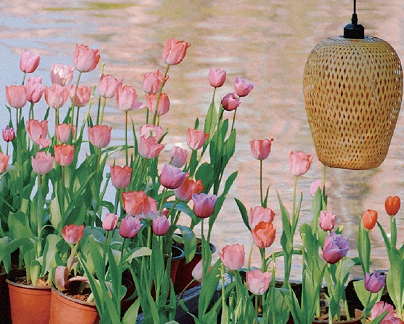 好好享受不上班的日子的说说 不上班悠闲心情的说说