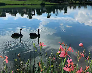 拒绝表白又不伤人的句子 高情商的拒绝语录