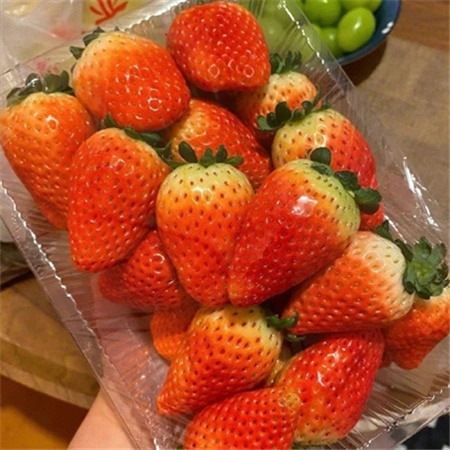 2023夏季很有食欲水果图片大全 祝你随手买的水果都很甜