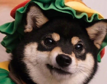 外卖单加料可以用的沙雕文案带图片 点外卖必备的备注句子 外卖单加料可以用的沙雕文案带图片 点外卖必备的备注句子