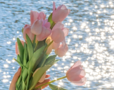 2023二月再见心情说说 二月再见三月你好短句