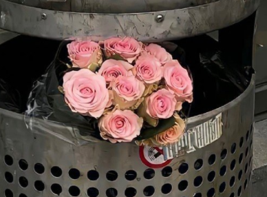 后来着居上的伤感语录 凭什么后来者居上的说说 后来着居上的伤感语录 凭什么后来者居上的说说