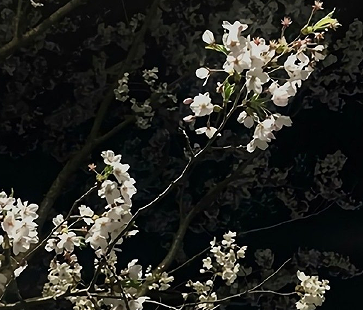 后妈难当的伤感句子 后妈难当的感慨说说