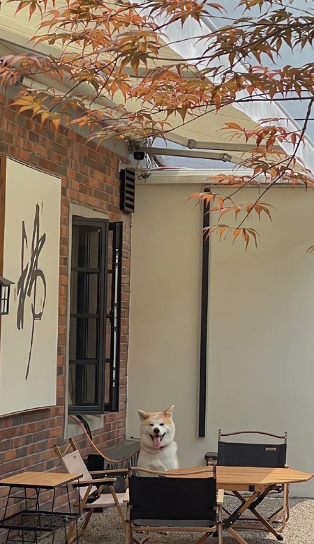 百用不腻的气质壁纸 好看的壁纸从不嫌多