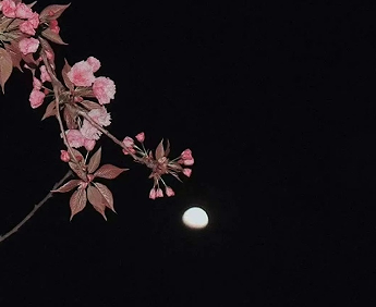 2023很好听的高质量文案短句 惊艳温柔感满满的说说