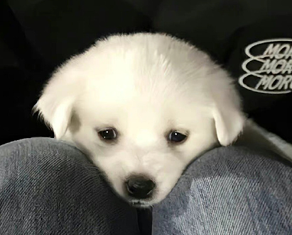 惊艳到你的简短签名 2023情商很高的签名 惊艳到你的简短签名 2023情商很高的签名