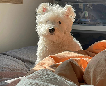 带自己名字的优质网名 可以加自己名字的昵称