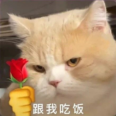 好玩的丫头文学表情包 丫头眼神是不会骗人的