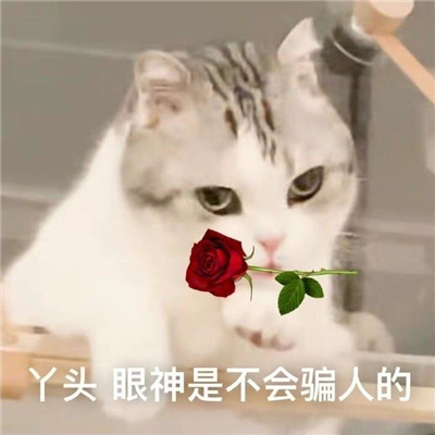 好玩的丫头文学表情包 丫头眼神是不会骗人的