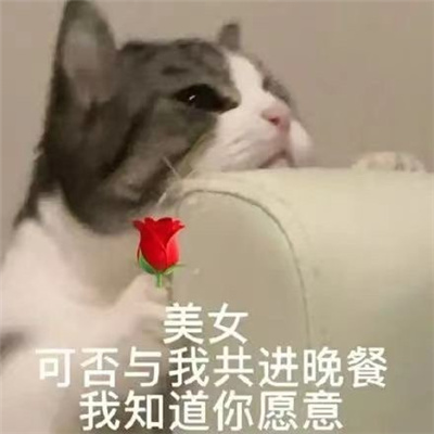 好玩的丫头文学表情包 丫头眼神是不会骗人的