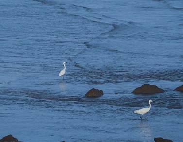 希望时光倒流的句子 假如时光倒流的心情说说