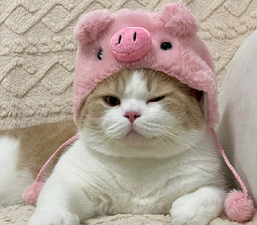 带给好心情的网名2023精选 暖心又很有格局的昵称 带给好心情的网名2023精选 暖心又很有格局的昵称