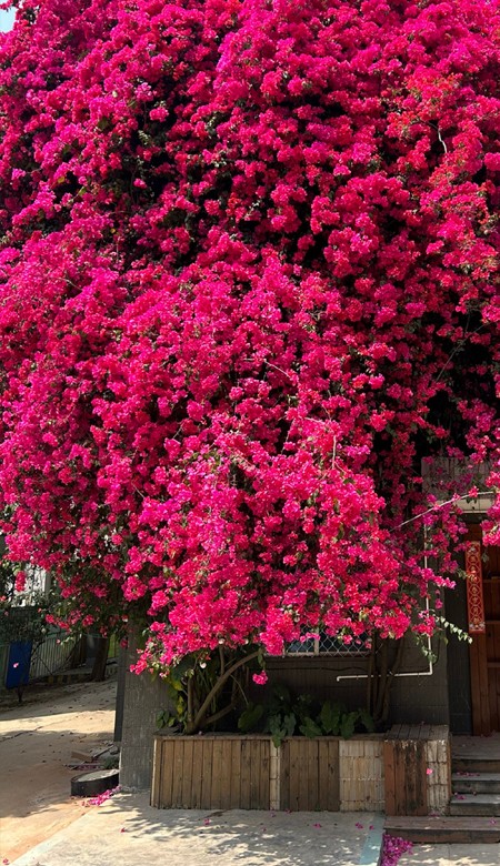 今年特别流行的壁纸最新温柔 很柔美的气质型皮肤