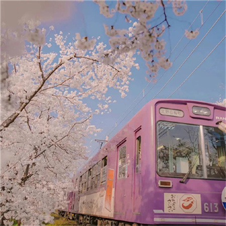 微信背景图2023新款大全 美好的小日子慢慢过吧