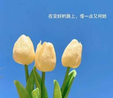 第一次去郊游很舒服的说说 享受大自然美景的文案