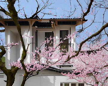 最近诸事不顺的说说 诸事不顺烦躁的说说 最近诸事不顺的说说 诸事不顺烦躁的说说