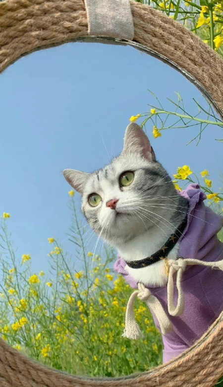 杂系超好看的温柔系的壁纸 温柔到极致的皮肤2023