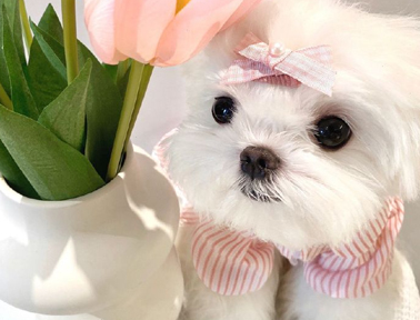 杂系网名冷淡风简短 超气质的最新版昵称合集 杂系网名冷淡风简短 超气质的最新版昵称合集