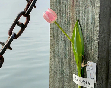 感染甲流很难受的说说 甲流发烧的难过句子 感染甲流很难受的说说 甲流发烧的难过句子