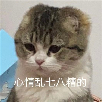 很有创意的趣味表情超快乐 高情商的好玩表情合集