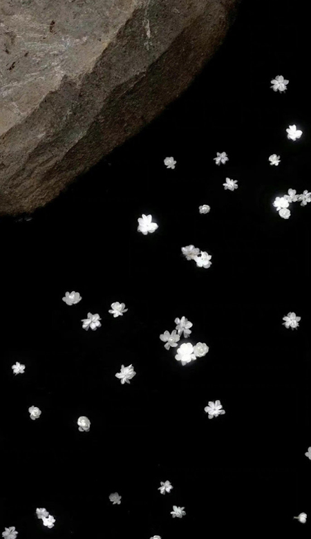 漂亮的壁纸最新版很高清 换上养眼的壁纸最热门