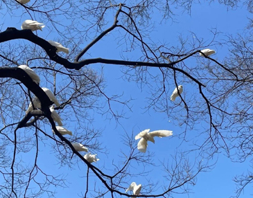 超大格局的八字短句 一眼就惊艳的文案八字