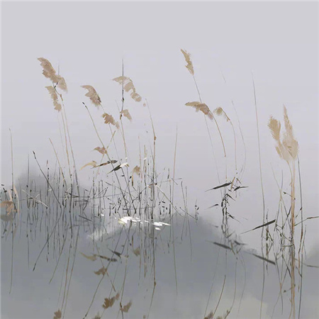 吸引人的高质量的背景图高清 超赞的气质背景素材合集