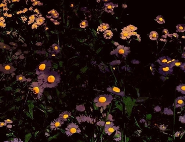 用酒精来麻痹自己的说说 用酒精麻醉自己的心情语录 用酒精来麻痹自己的说说 用酒精麻醉自己的心情语录