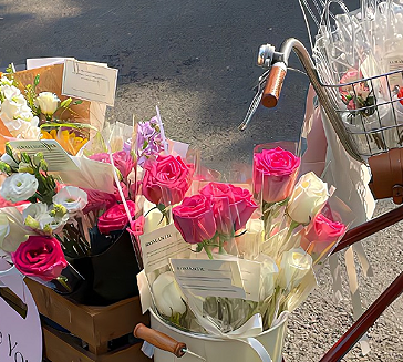 瞬间把人整沉默的耳背文学 超搞笑的耳背文学语录 瞬间把人整沉默的耳背文学 超搞笑的耳背文学语录