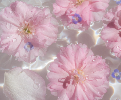 向往风一样自由的说说 像风一样自由唯美句子