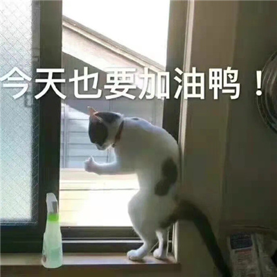 近期超爱用的表情很开心 请问你是山海经的那一页